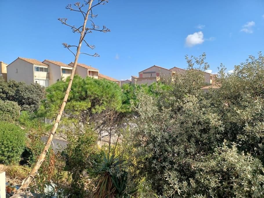 Plain-Pied, Terrasse, Piscine, Pleine Vue Mer, Plage A 6' A Pied, Parking, Wifi Fleury  Esterno foto
